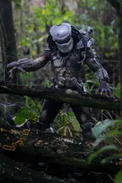 predator-plakat-61x915-cm