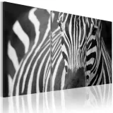 obraz-pani-zebra-rozmiar-120x80
