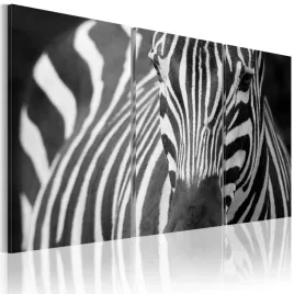obraz-pani-zebra-rozmiar-120x80