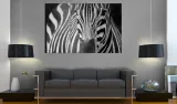 obraz-pani-zebra-rozmiar-120x80-stan-nowy