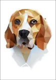beagle-plakat-50x70-cm