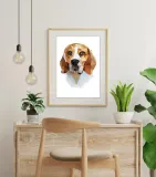 beagle-plakat-50x70-cm-stan-nowy