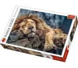 trefl-puzzle-1000el-spiacy-lew