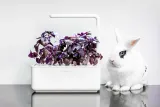 smart-garden-3-white-outlet-typ-wolnostojacy-stan-nowy
