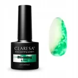 claresa-blooming-6-green-5-ml-stan-nowy-marka-claresa