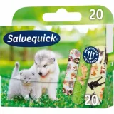 salvequick-animals-12x20-stan-nowy