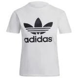 adidas-adicolor-classics-trefoil-tee-gn2899-36