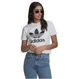 adidas-adicolor-classics-trefoil-tee-gn2899-36-stan-nowy
