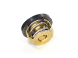 termostat-atv-200-bashan-nevada-stan-nowy