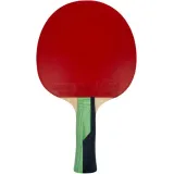 rakietka-do-ping-ponga-butterfly-smaragd