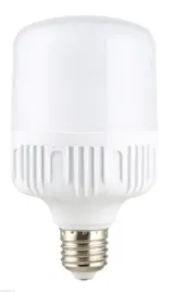 zarowka-led-duza-30w