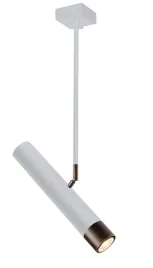 spot-eido-1-patyna-0361-amplex