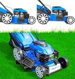 Miniaturka produktu #8