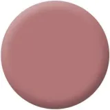 pomadka-do-ust-117-rum-raisin-stan-nowy