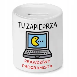 skarbonka-informatyka-prawdziwy-programista