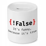 skarbonka-informatyka-programisty-false-its-funny