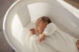 babybjorn-kolyska-plec-chlopcy-dziewczynki
