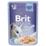 brit-premium-cat-pouch-85g-salmon-fillets