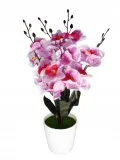 storczyk-sztuczny-w-doniczce-rodzaj-kwiaty-doniczkowe