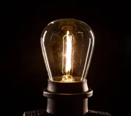 zarowka-led-ozdobna-e27-1w