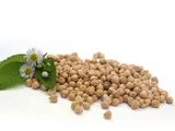 ciecierzyca-1kg-vivio