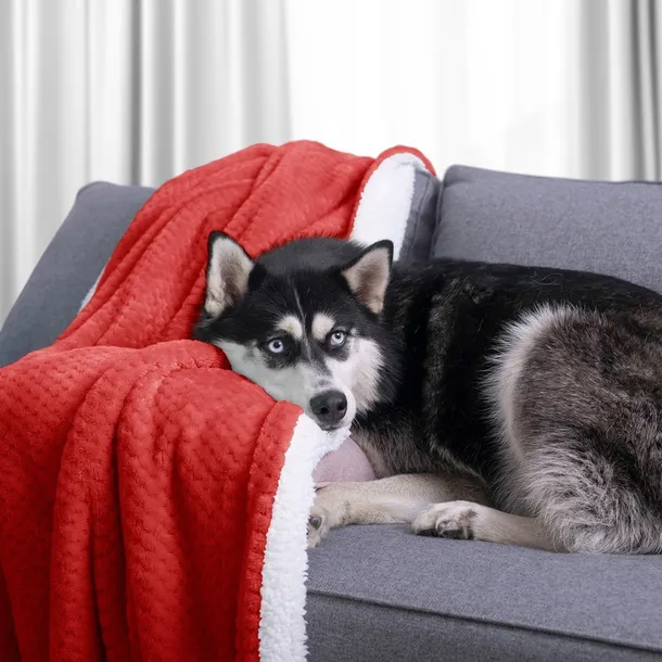amelia-home-koc-red-170x210-stan-nowy-kolor-inny