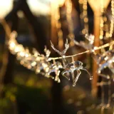 ledlig-chreindeers-clear-10pcs-stan-nowy