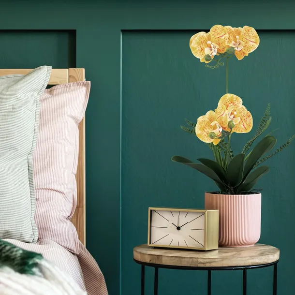 artflower-orchi-honey-stan-nowy