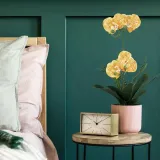 artflower-orchi-honey-stan-nowy
