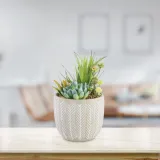 artflower-herbi-22cm-stan-nowy