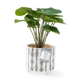 artflower-flori-23cm