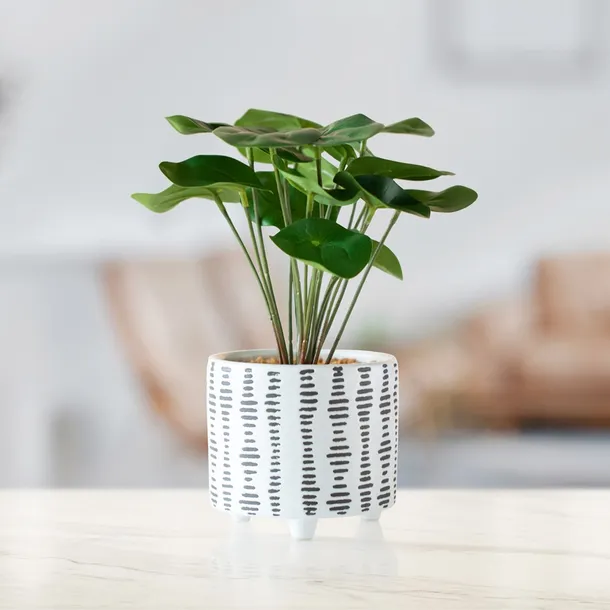 artflower-flori-23cm-stan-nowy