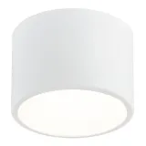 vichy-plafon-s-bialy-3884-argon