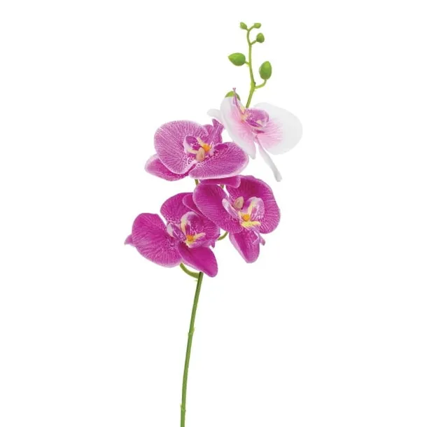 storczyk-pojedynczy-jumi-40-cm
