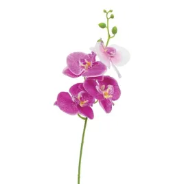 storczyk-pojedynczy-jumi-40-cm