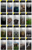 etui-do-google-pixel-7-pokrowiec-nadruk-gradient-kolor-inny