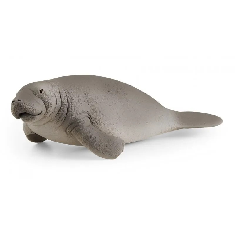 schleich-manat