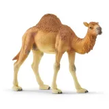 schleich-wielblad-dromader