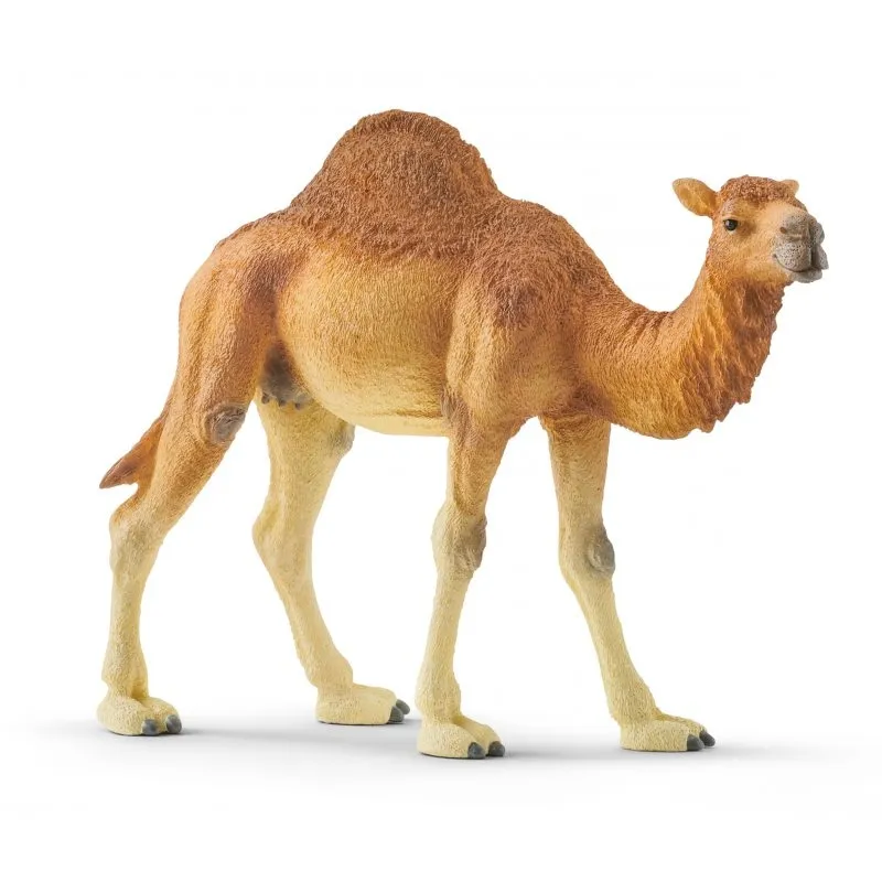 schleich-wielblad-dromader
