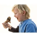schleich-lew-stan-nowy