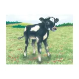 puzzle-kostki-z-owieczka-material-inny