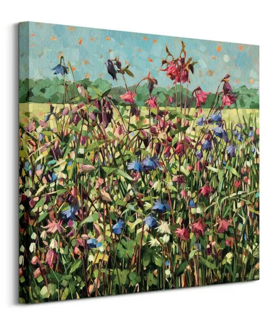 aquilegia-obraz-na-plotnie-60x60-cm-stan-nowy
