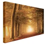 autumn-feelings-obraz-na-plotnie-80x60-cm