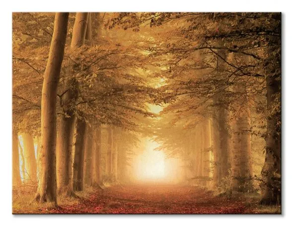autumn-feelings-obraz-na-plotnie-80x60-cm-stan-nowy