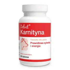 dolfos-dolvit-karnityna-90-tabletek-90-tabl
