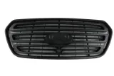 atrapa-ford-transit-13greater-srodek