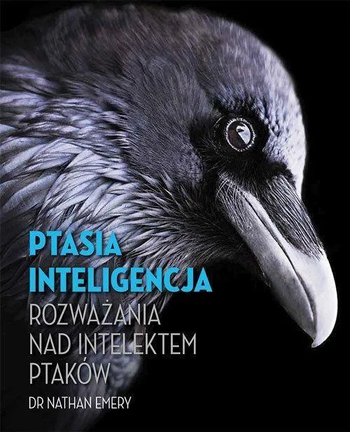 Grafika w opisie produktu