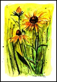 jezowka-echinacea-akwarela-oryginal