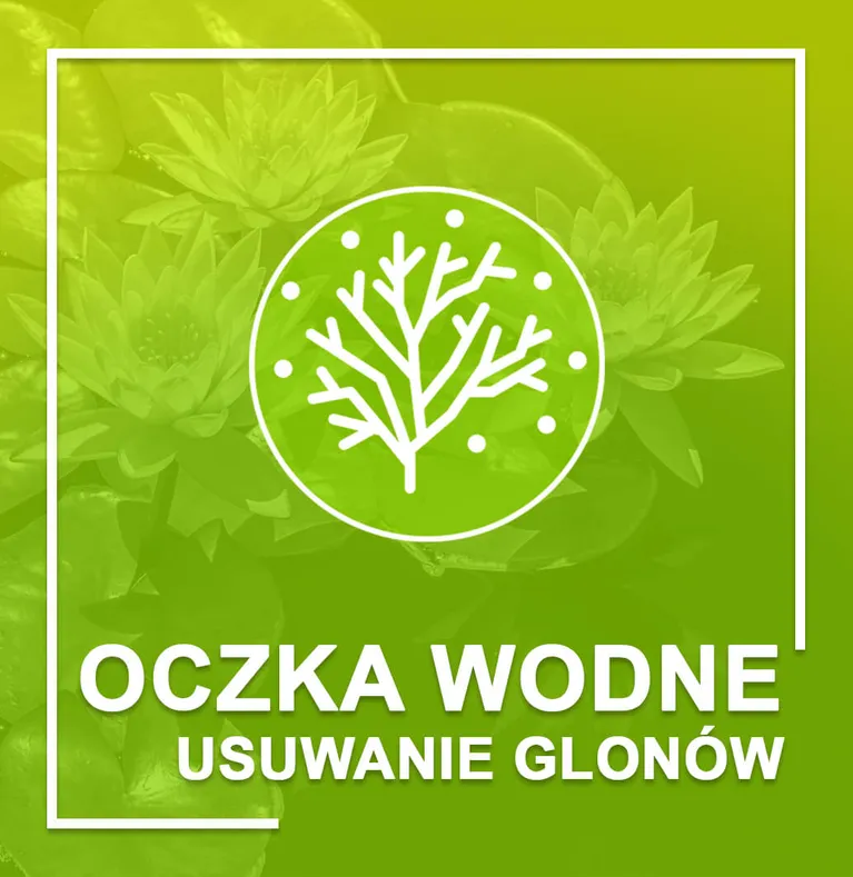 undefined_undefined