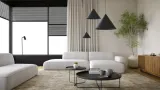 mono